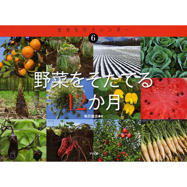 野菜をそだてる１２か月