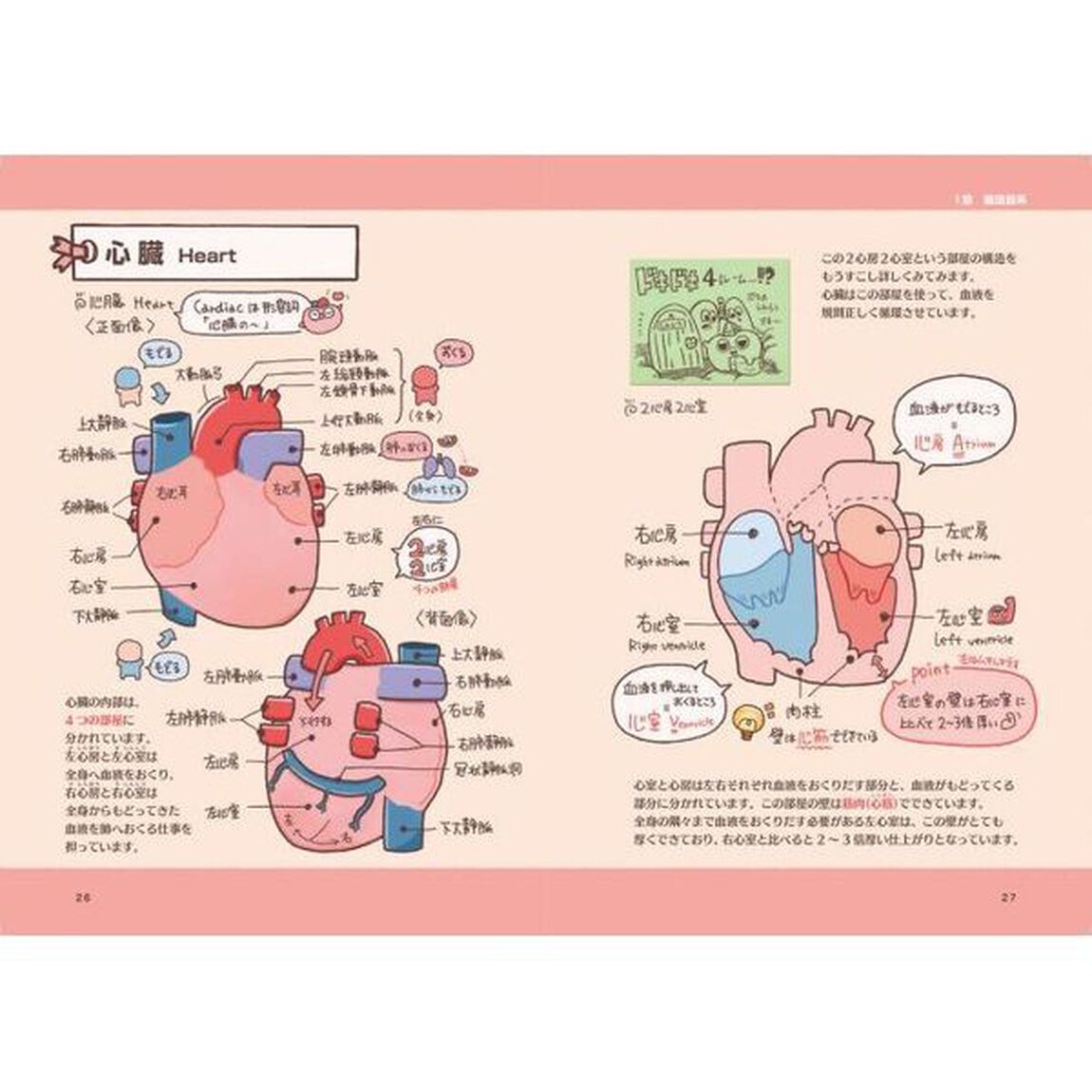 からだずかん　ゆるっとポップな解剖生理学