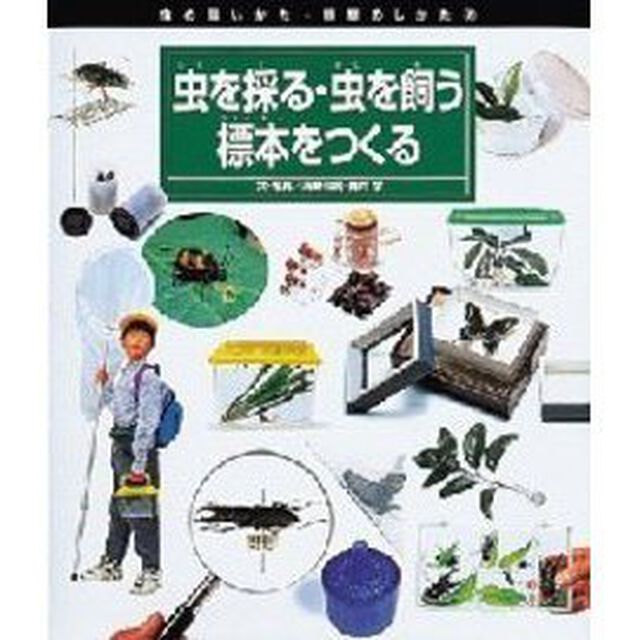 虫を採る・虫を飼う・標本をつくる