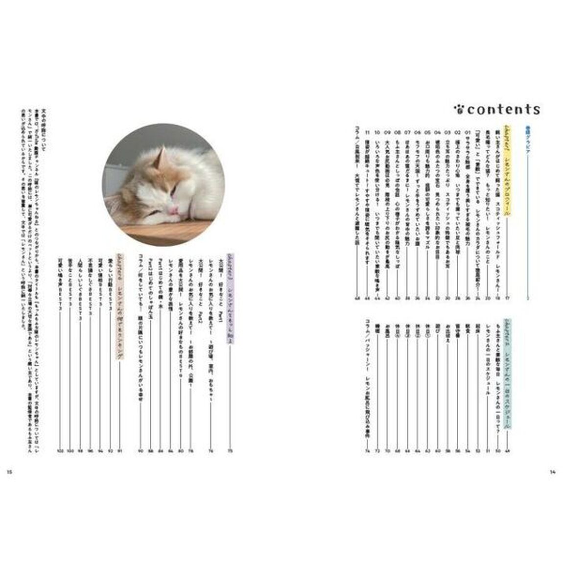 もっふもふな猫のレモンちゃん