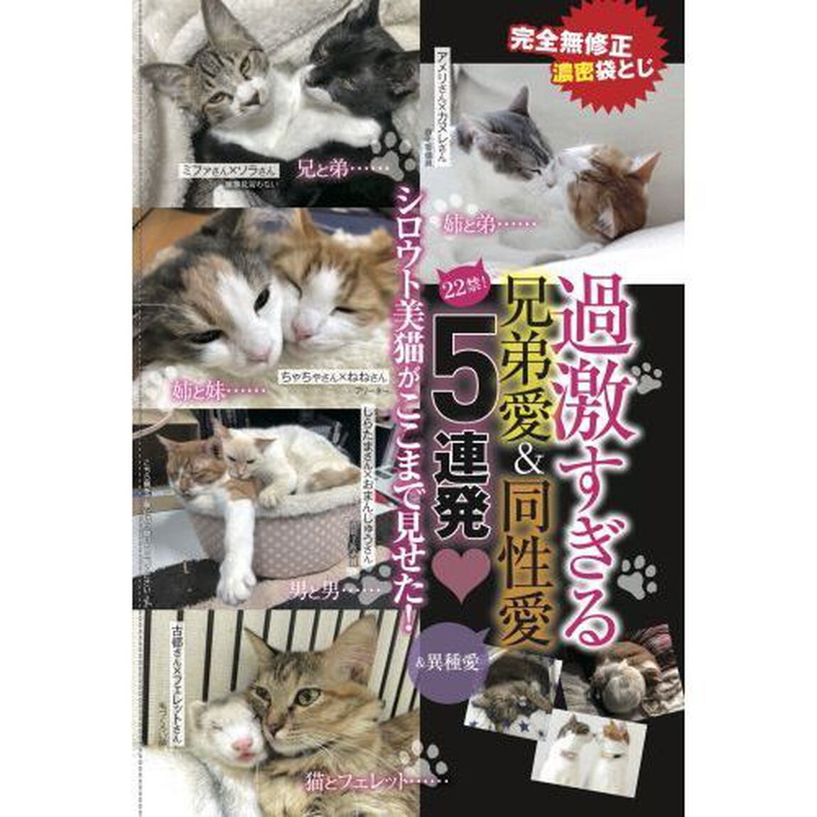 週ニャン大衆　ｖｏｌ．２「完全無修正濃密袋とじ「過激すぎる兄弟愛＆同性愛」５連発　初の検証！ライオンやトラも「ちゅ〜る」にまっしぐら！？」