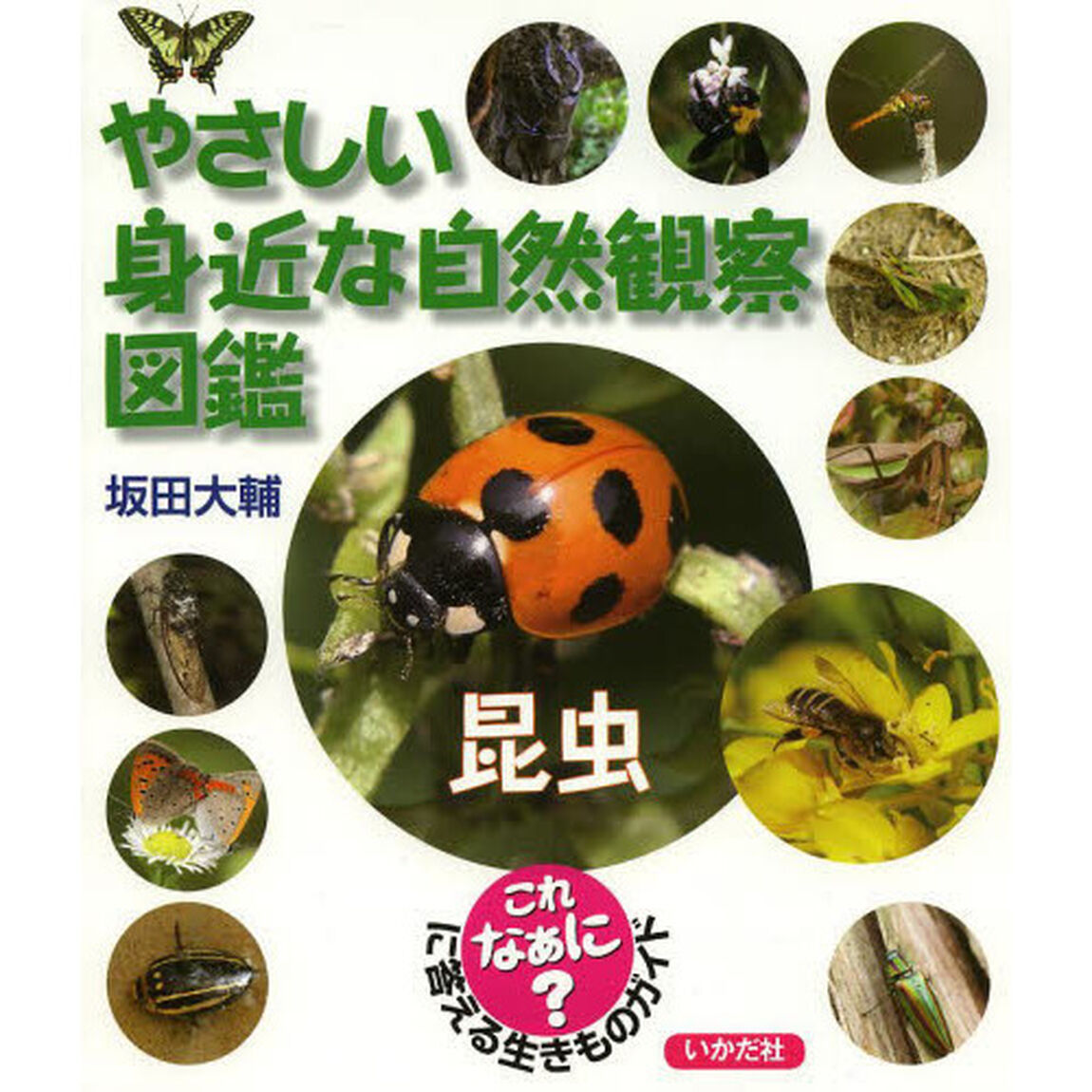 やさしい身近な自然観察図鑑　これなあに？に答える生きものガイド　昆虫