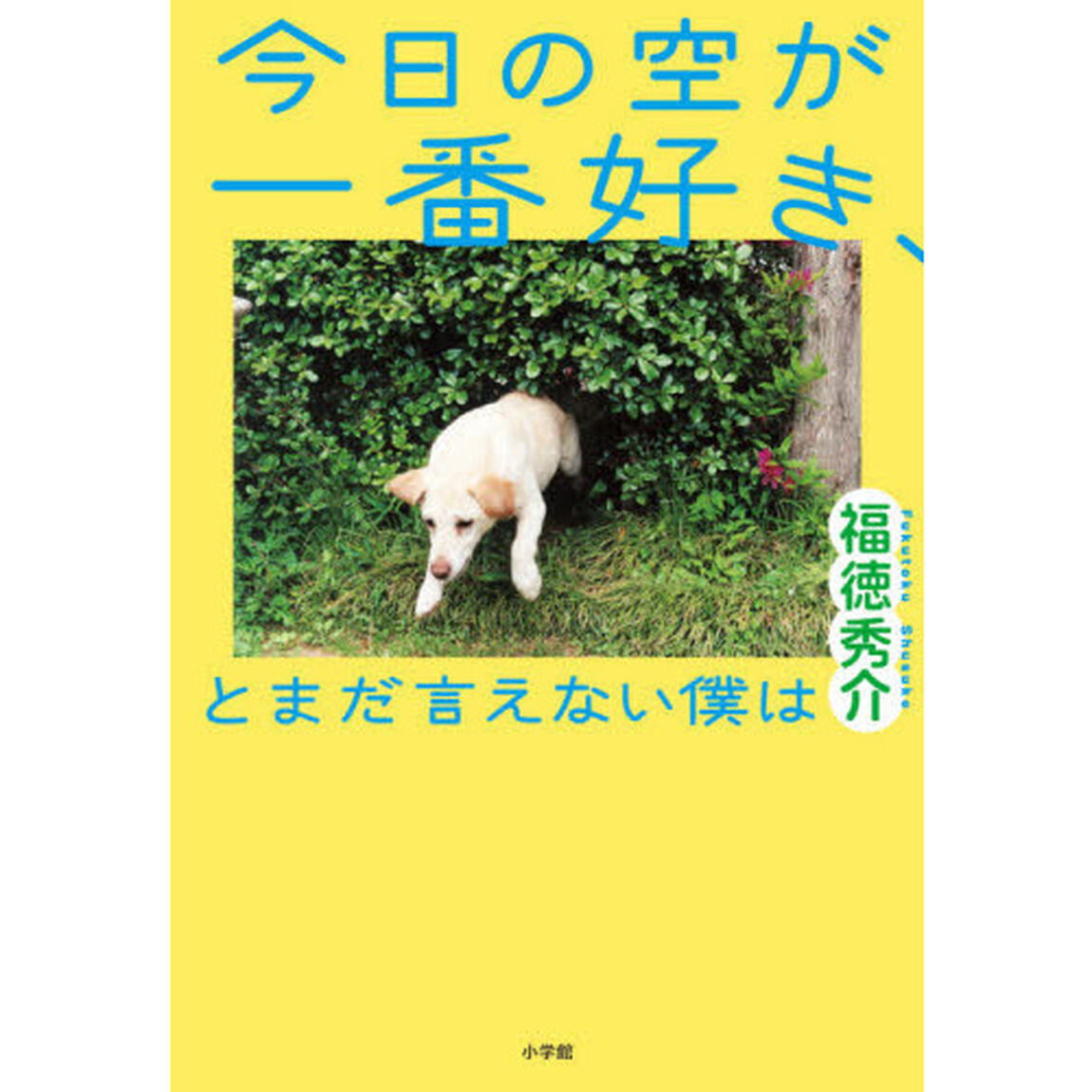 今日の空が一番好き、とまだ言えない僕は