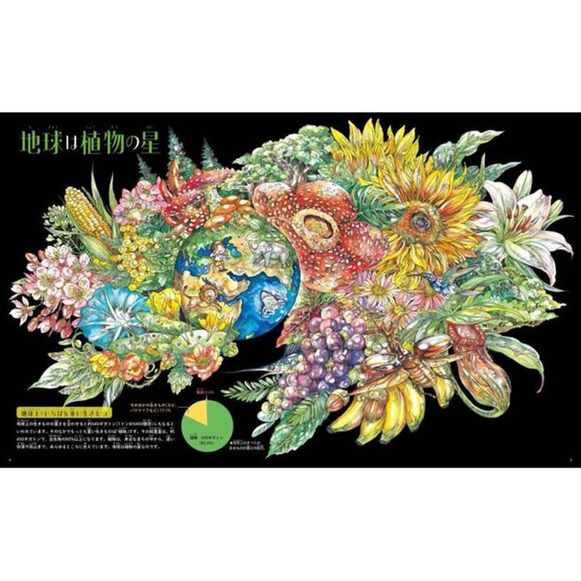 植物「新訂版」