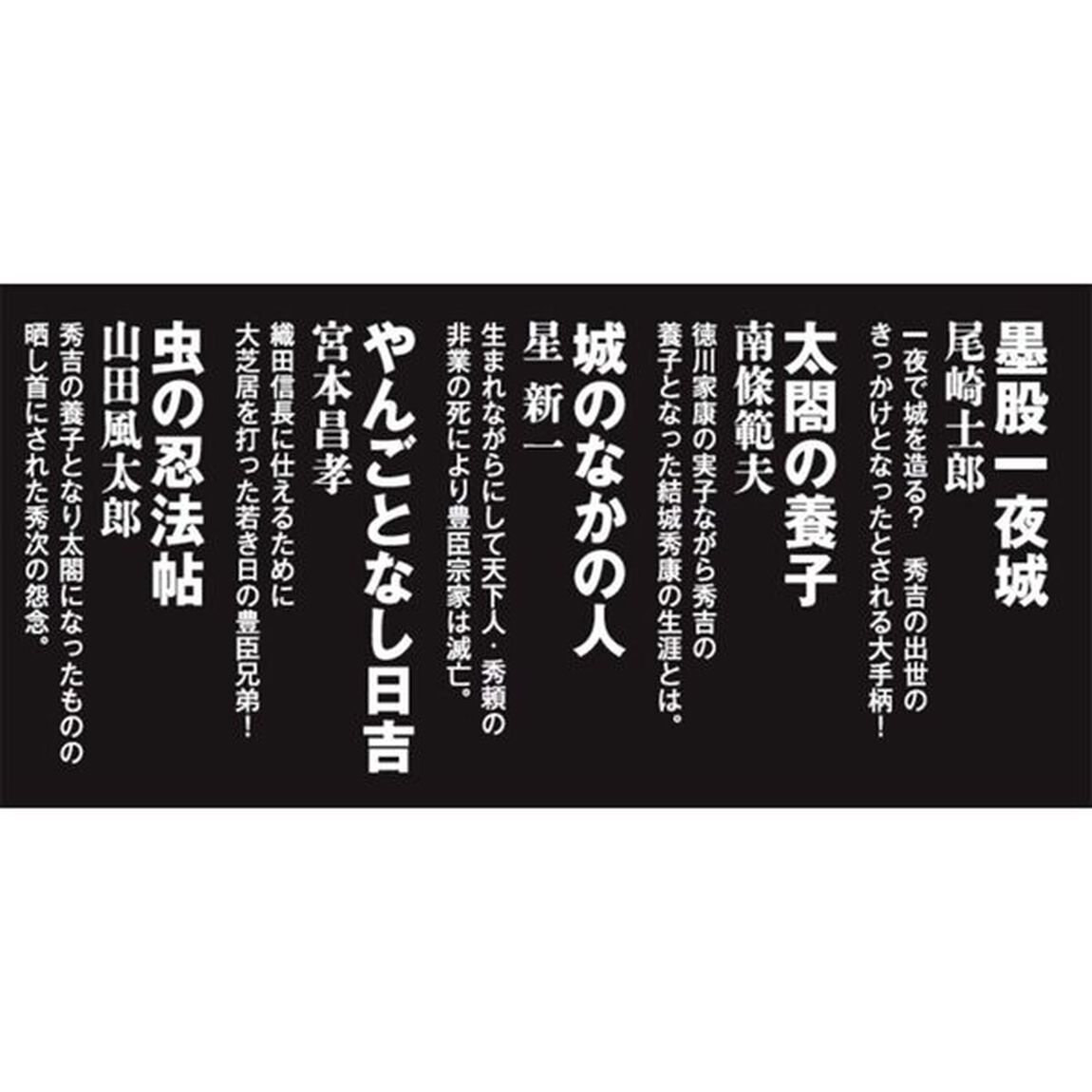 傑作歴史小説！豊臣家の野心