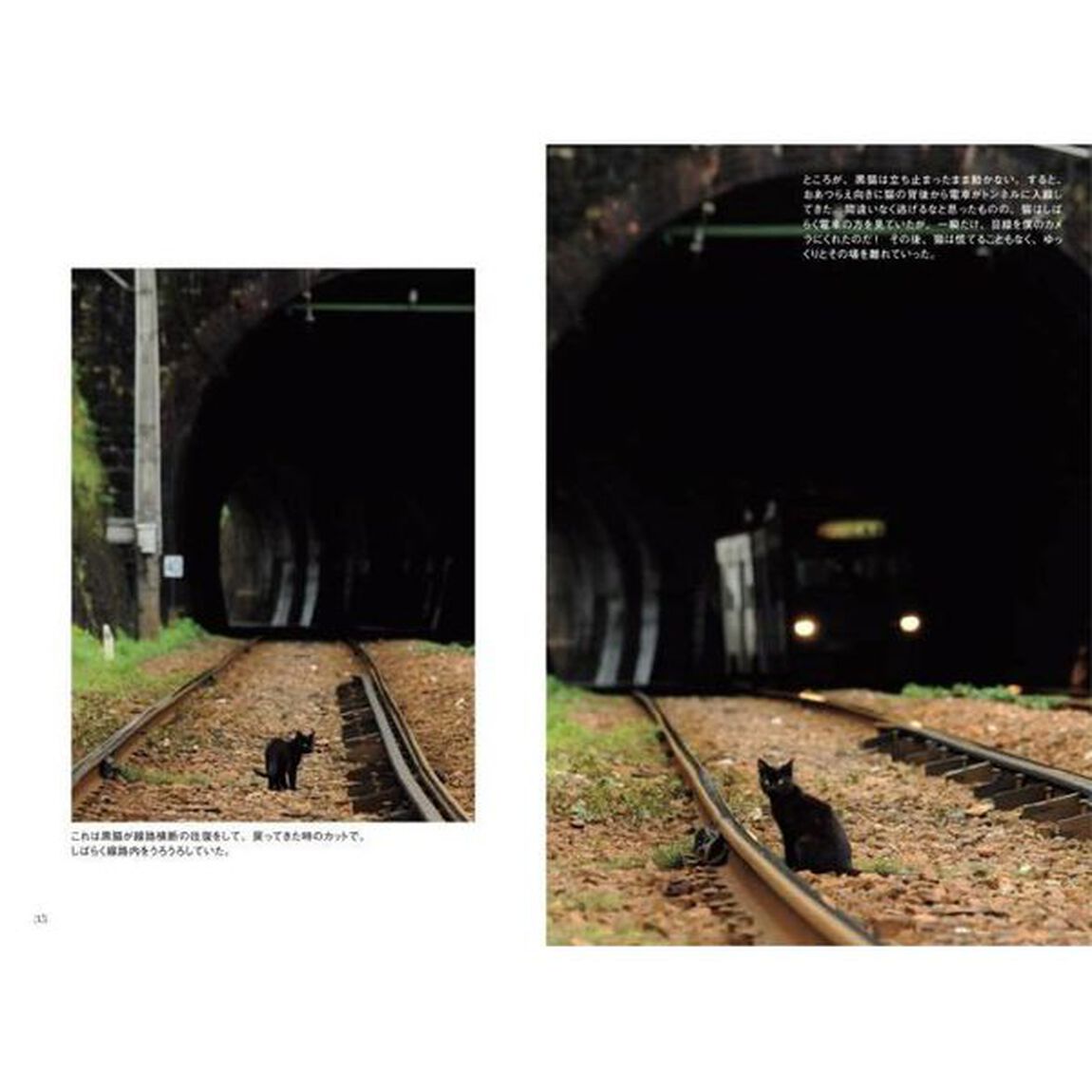 ねこ鉄　猫と鉄道の出会いの風景