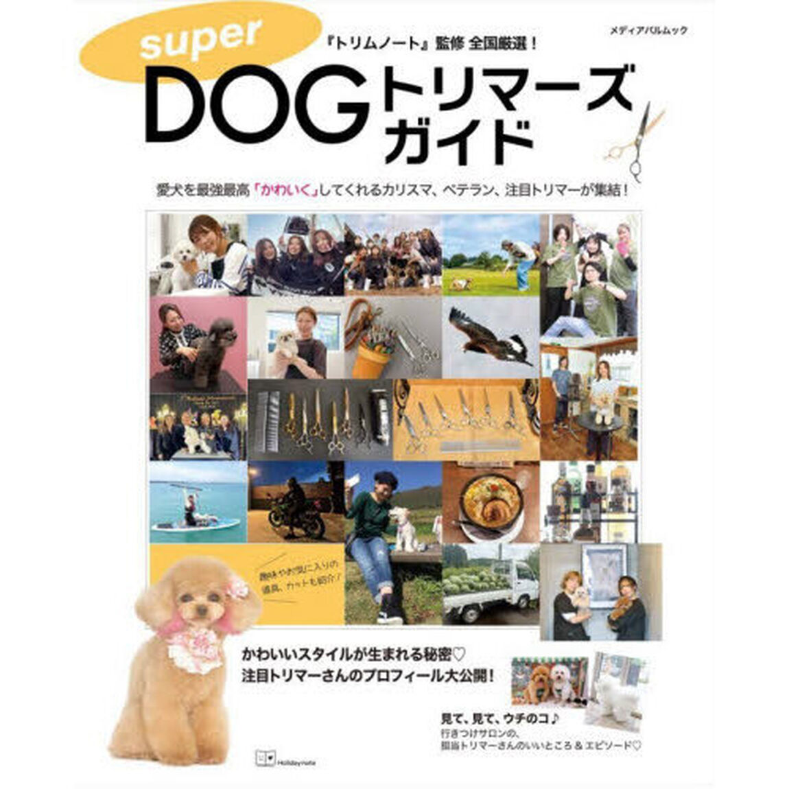 ｓｕｐｅｒ　ＤＯＧトリマーズガイド