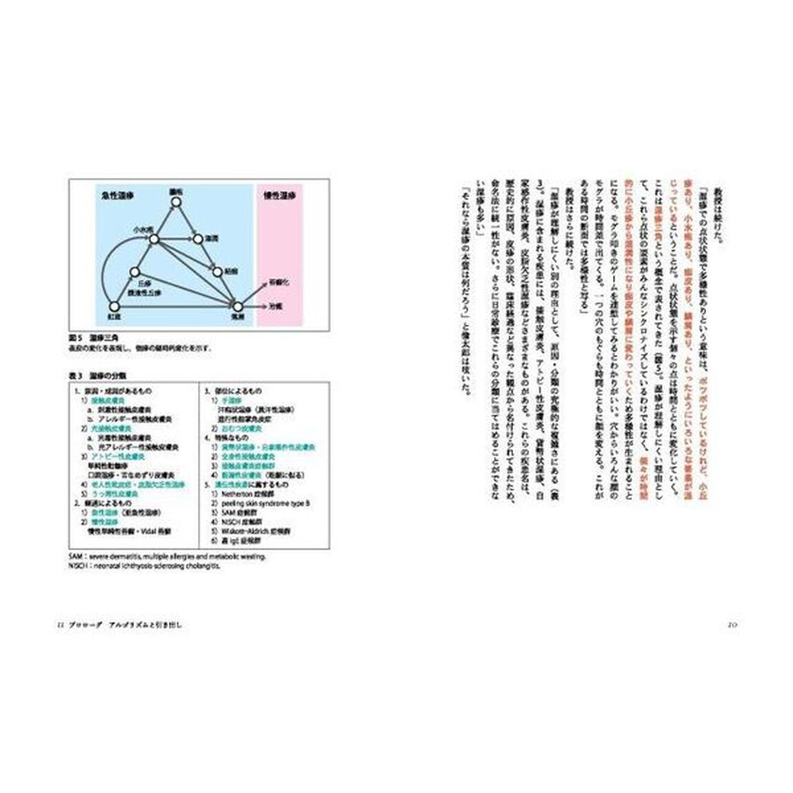 間宮家の皮膚科医