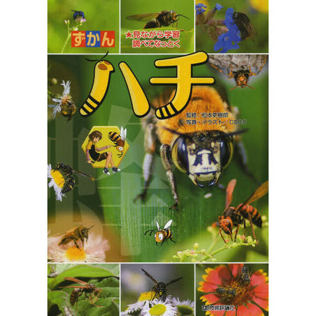 ずかんハチ　見ながら学習調べてなっとく