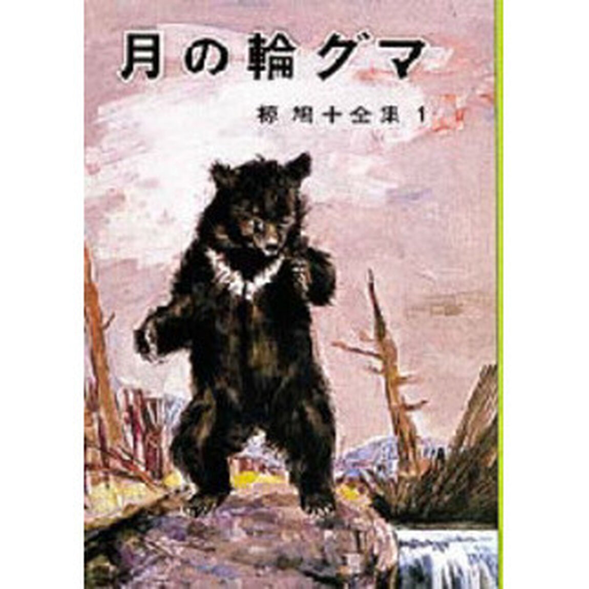 月の輪グマ