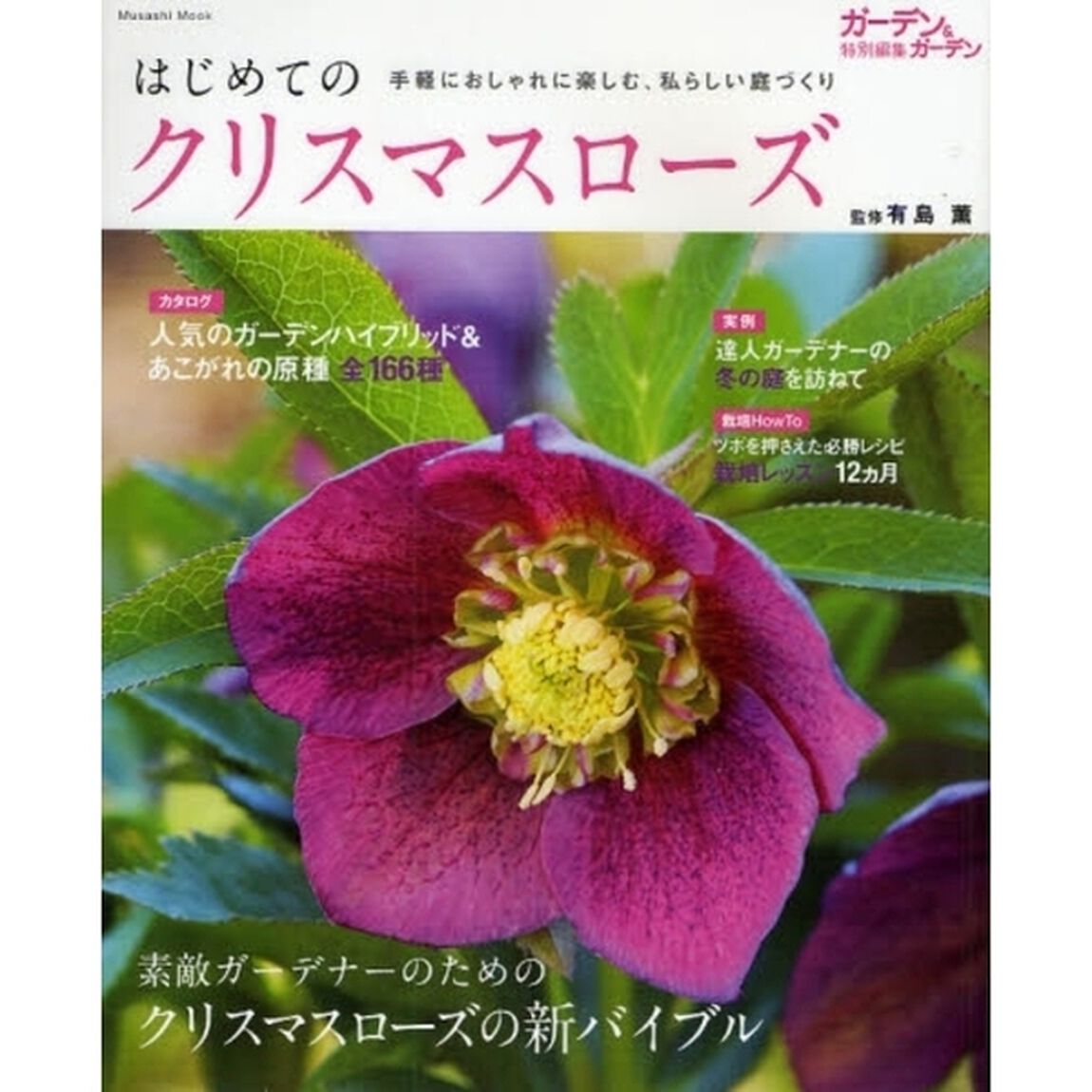 はじめてのクリスマスローズ　手軽におしゃれに楽しむ、私らしい庭づくり