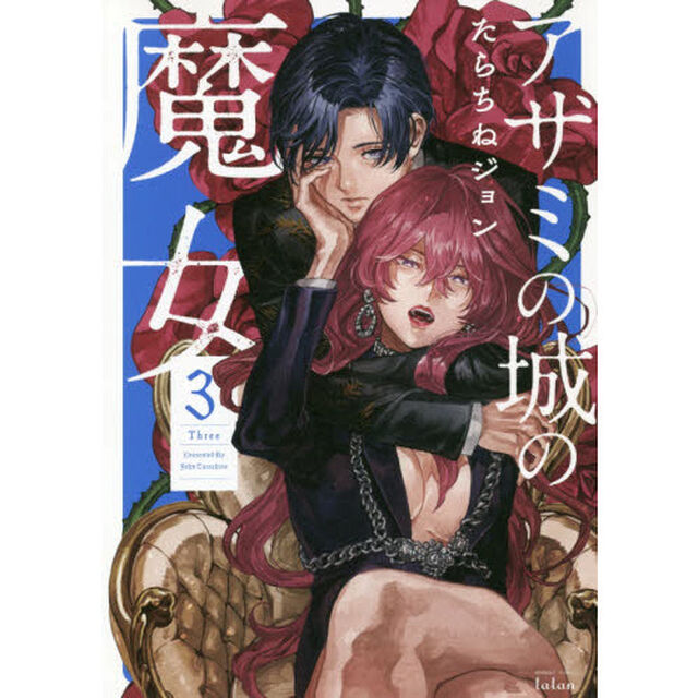 アザミの城の魔女　　　３