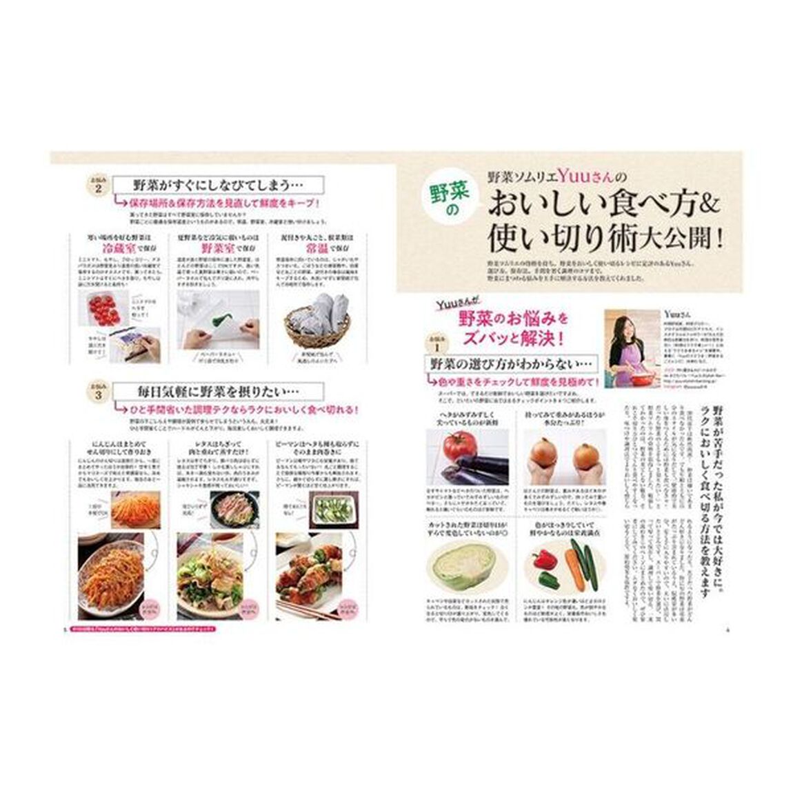 レシピブログのおいしい野菜おかずＢＥＳＴ１００　栄養たっぷり！旬の野菜をおいしく味わう！