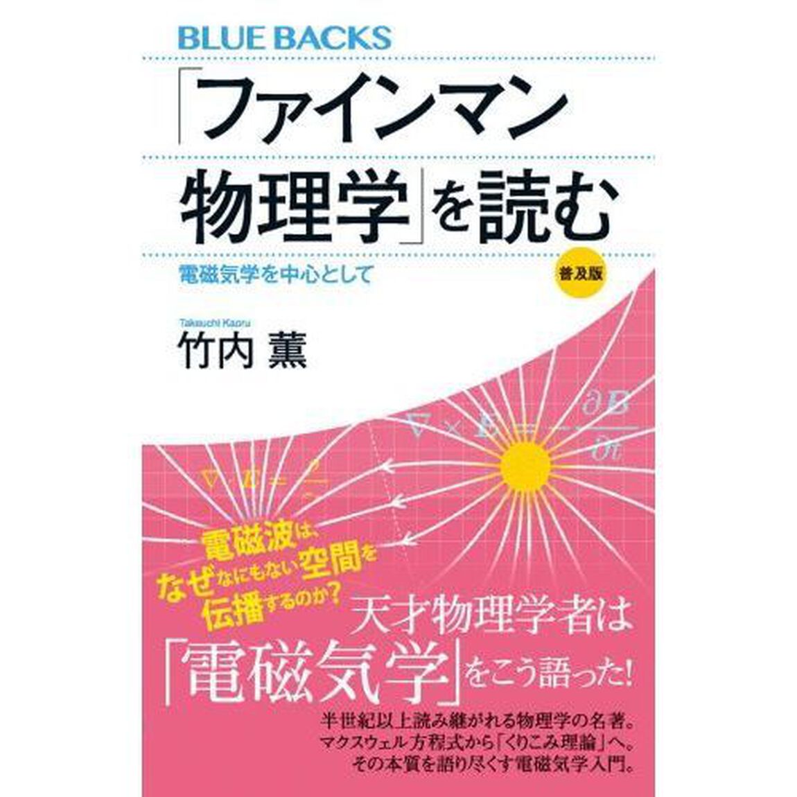「ファインマン物理学」を読む　電磁気学を中心として　普及版