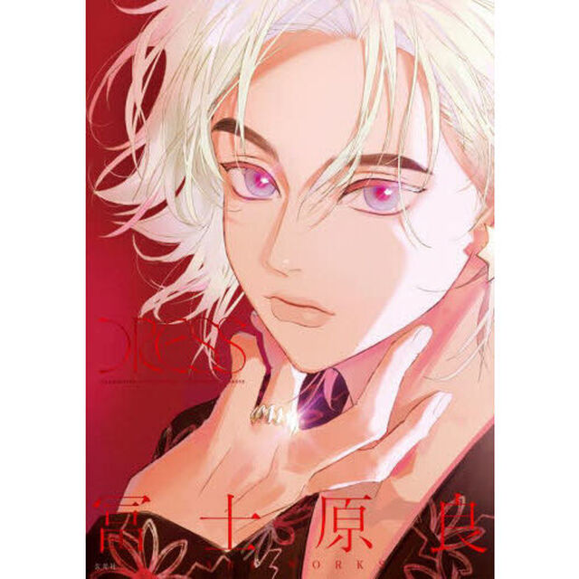 冨士原良ＡＲＴ　ＷＯＲＫＳ　ＤＲＥＳＳ