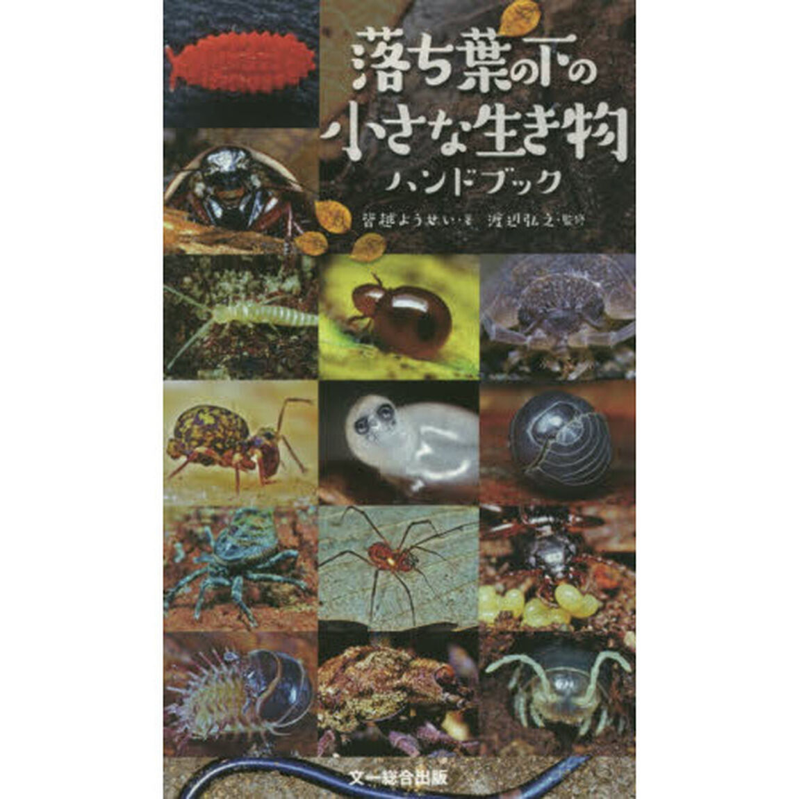 落ち葉の下の小さな生き物ハンドブック