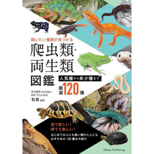 飼いたい種類が見つかる爬虫類・両生類図鑑　人気種から希少種まで厳選１２０種