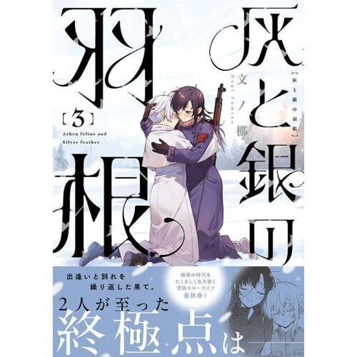 灰と銀の羽根　３