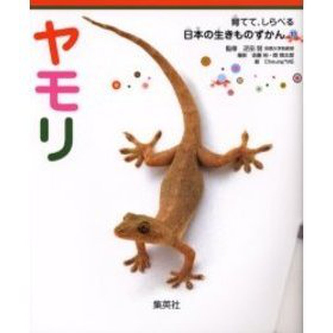 ヤモリ