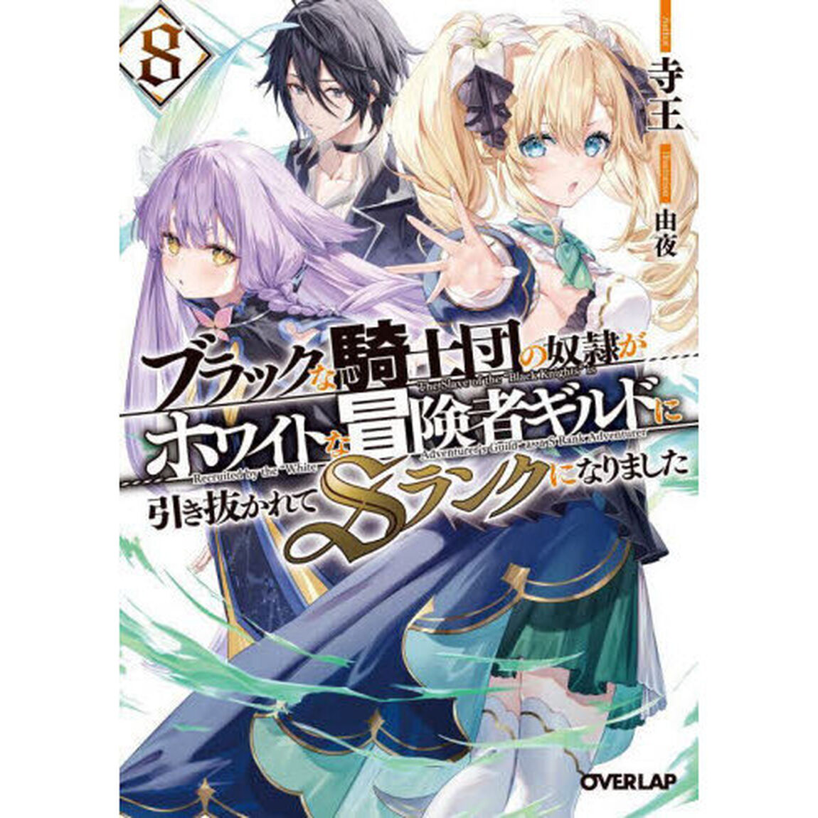 ブラックな騎士団の奴隷がホワイトな冒険者ギルドに引き抜かれてＳランクになりました　８