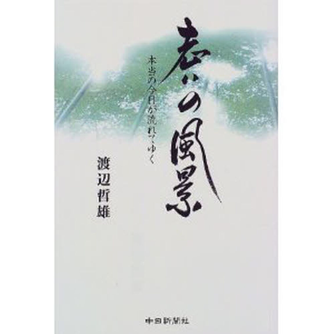 老いの風景　本当の今日が流れてゆく