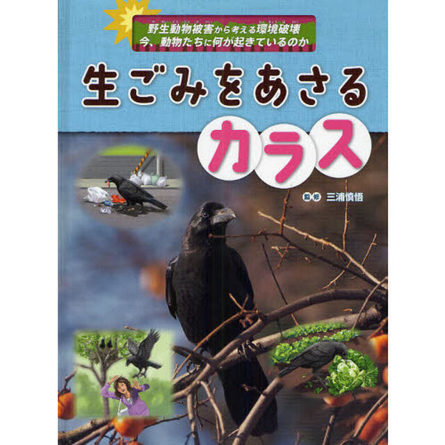 生ごみをあさるカラス