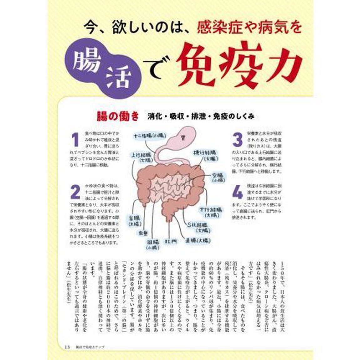 おとなの健康　Ｖｏｌ．１５「「腸活」で免疫力アップ／アボカド／大麦／中野ジェームズ修一の足腰トレ」