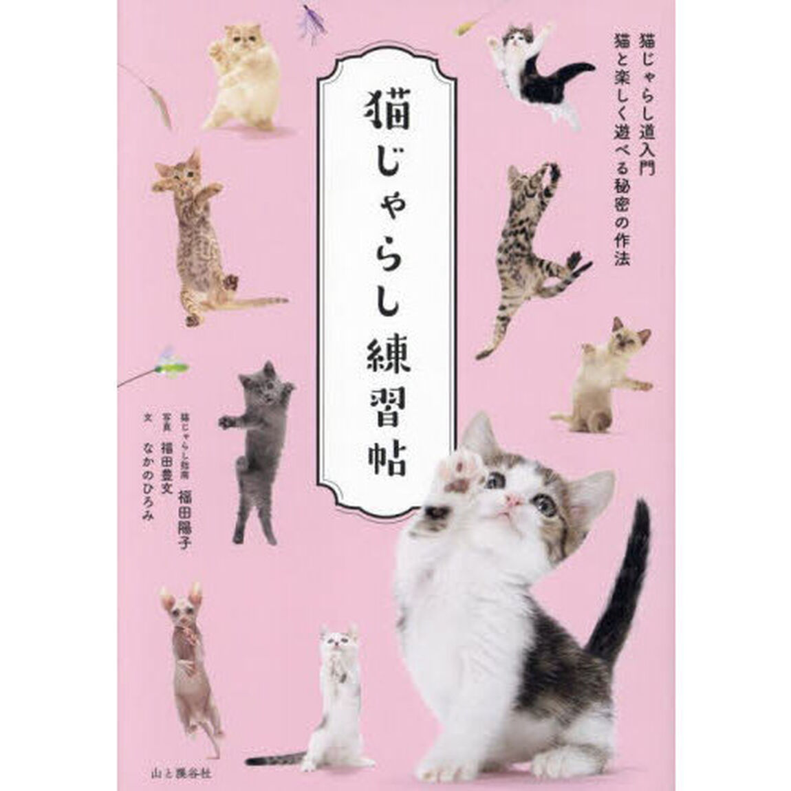 猫じゃらし練習帖　猫じゃらし道入門猫と楽しく遊べる秘密の作法