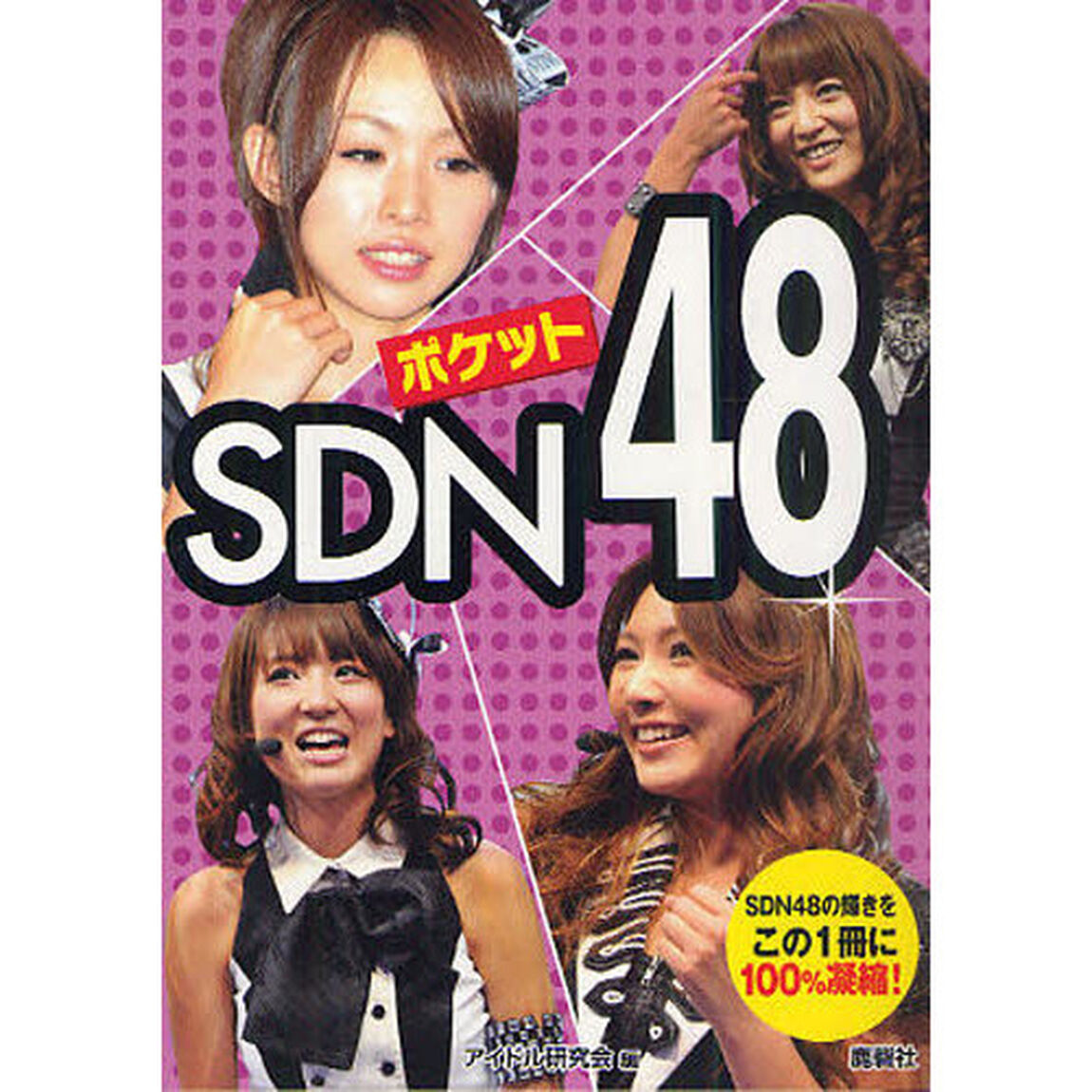 ポケットＳＤＮ４８　ＳＤＮ４８の輝きをこの１冊に１００％凝縮！