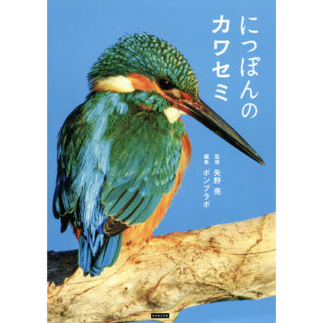 にっぽんのカワセミ