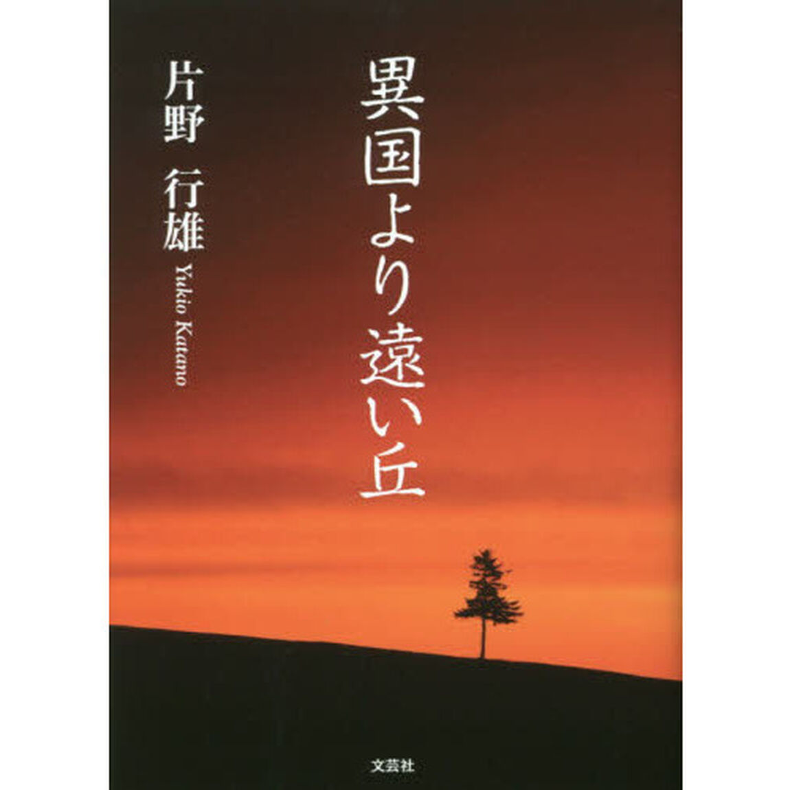 異国より遠い丘