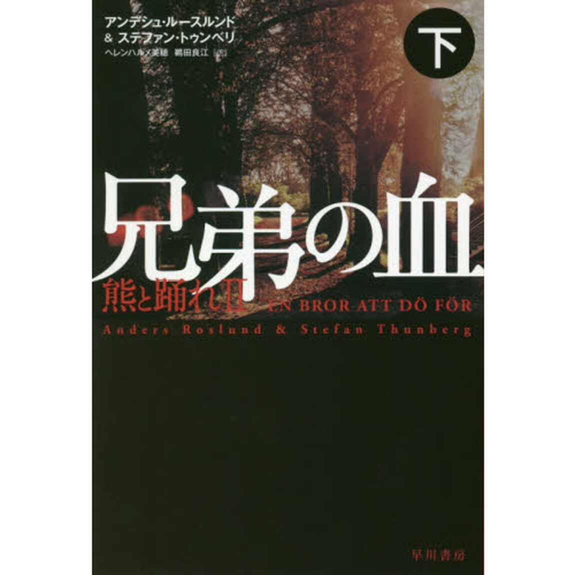 兄弟の血　下