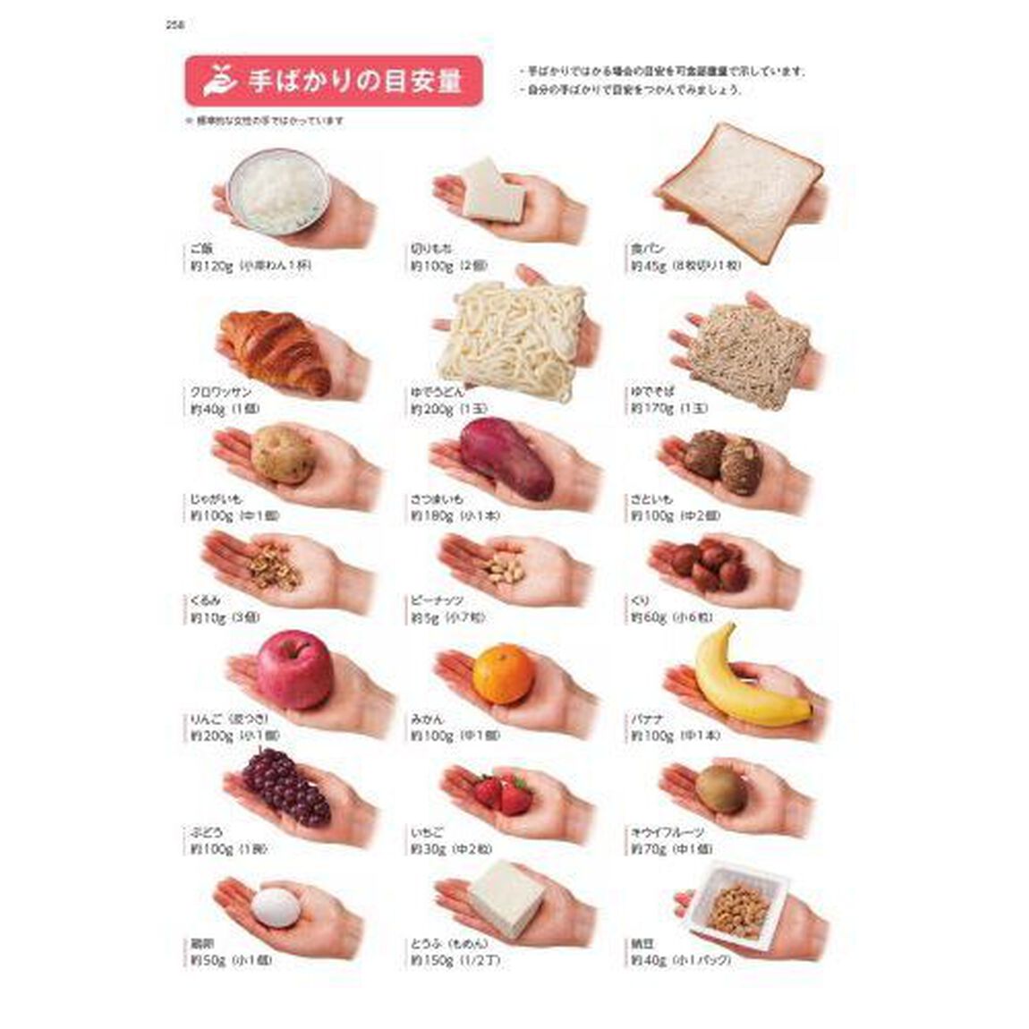 日本食品成分表　２０２２