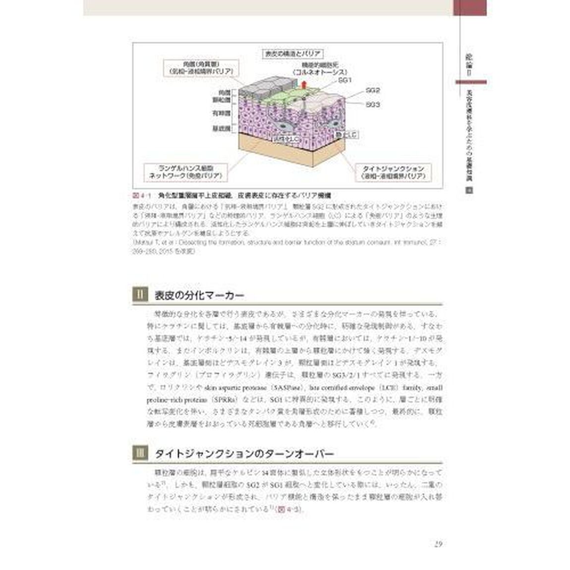 あたらしい美容皮膚科学