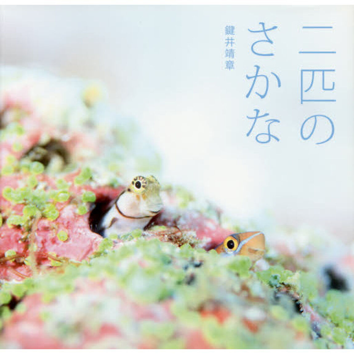 二匹のさかな