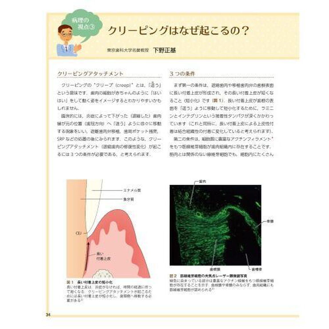 歯肉を読み解く　臨床&times;病理の眼から歯肉の&ldquo;なぜ&rdquo;にこたえます！