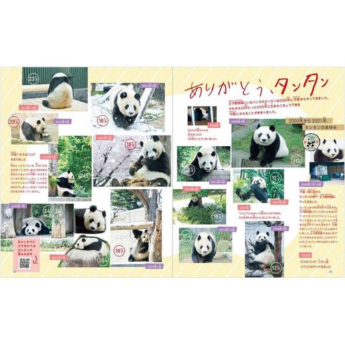 関西みんなの動物園と水族館