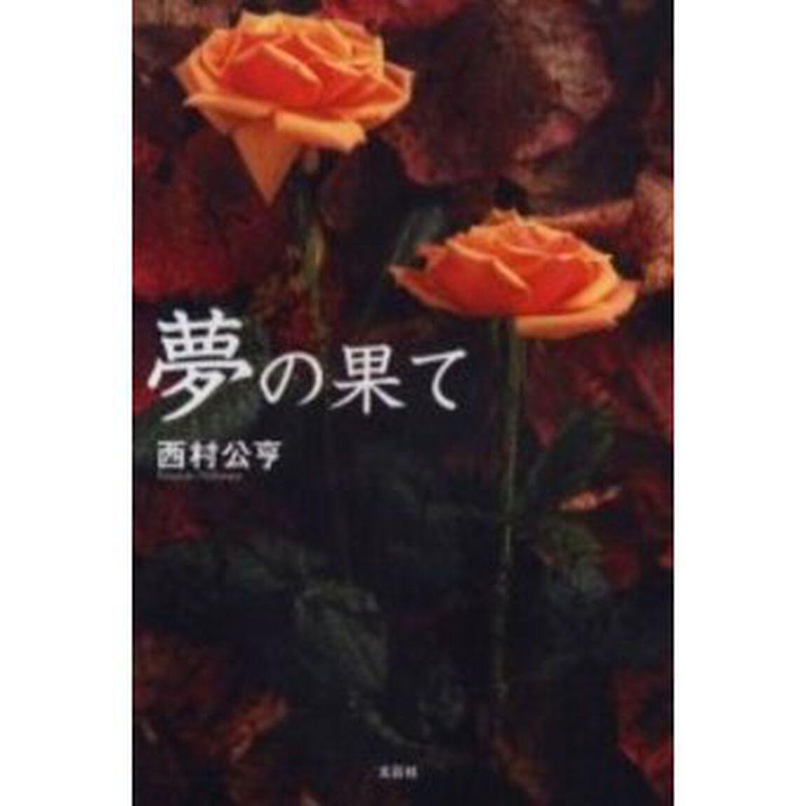 夢の果て