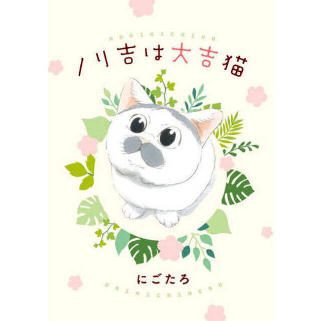 ノリ吉は大吉猫