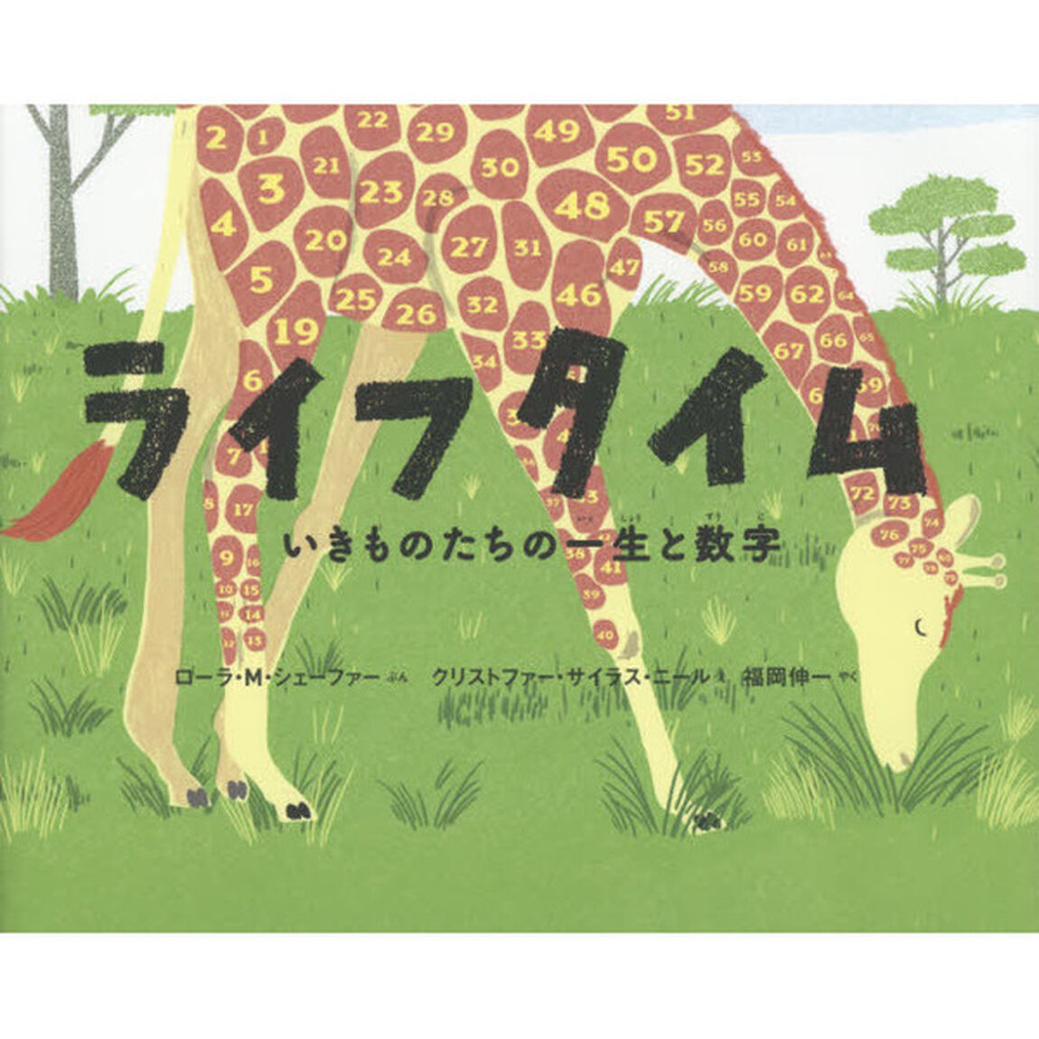 ライフタイム　いきものたちの一生と数字