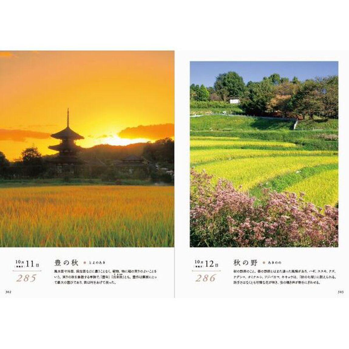 日本の風景が織りなす心に響く情景のことば３６５