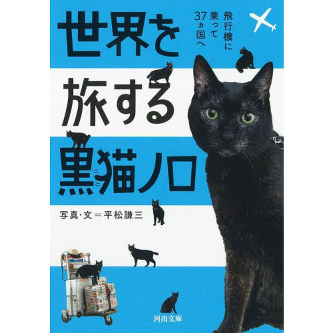 世界を旅する黒猫ノロ　飛行機に乗って３７カ国へ