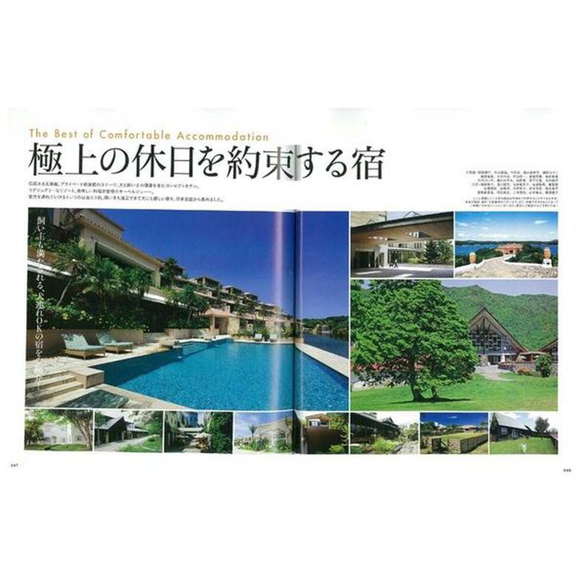 犬連れ宿完全ガイド　日本全国からとっておきの宿を厳選紹介　２０１６－２０１７「犬も飼い主も満たされる、極上ステイガイドの決定版！」
