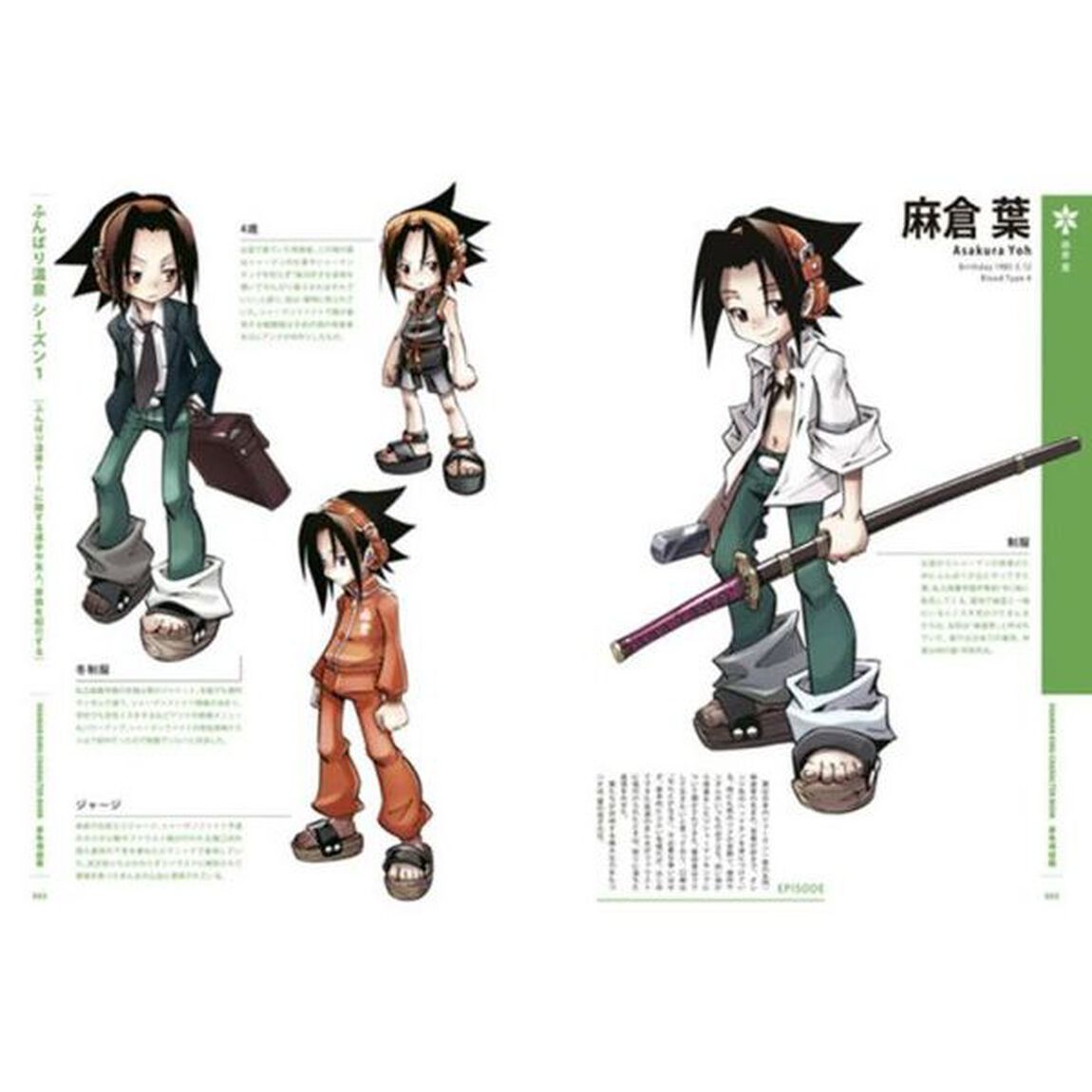 ＳＨＡＭＡＮ　ＫＩＮＧ　ＣＨＡＲＡＣＴＥＲ　ＢＯＯＫ原色魂図鑑