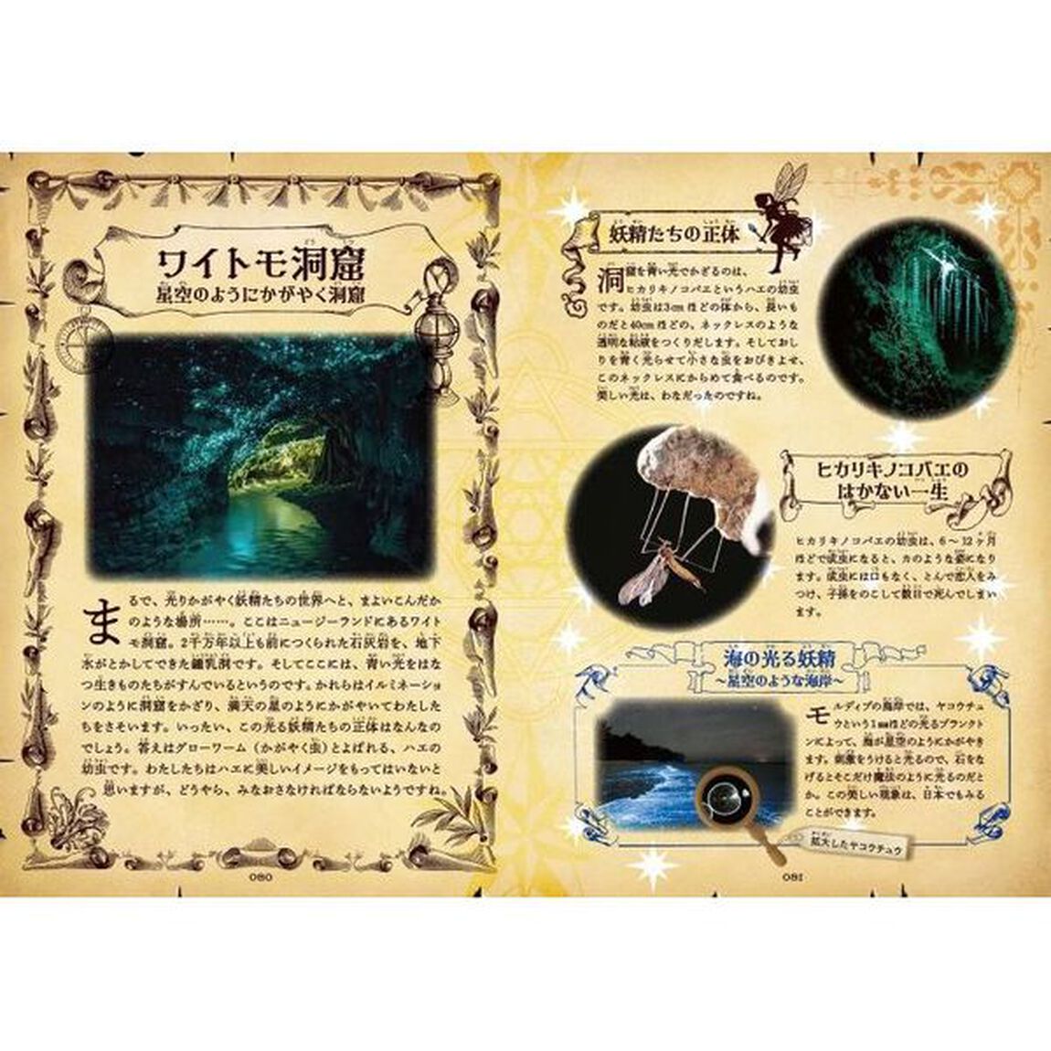まるで魔法のような本当の話