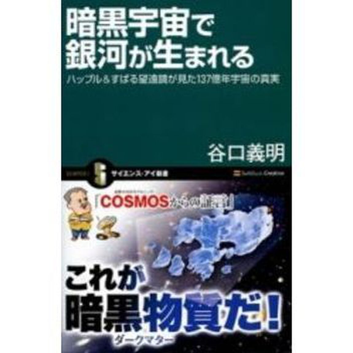 暗黒宇宙で銀河が生まれる　ハッブル＆すばる望遠鏡が見た１３７億年宇宙の真実