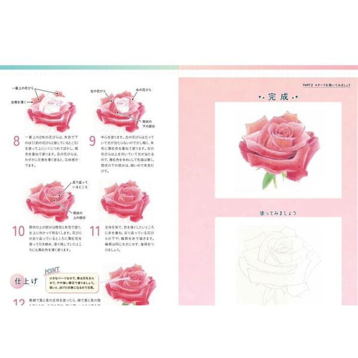 ６０歳からの色鉛筆画教室　大きな絵でわかりやすい
