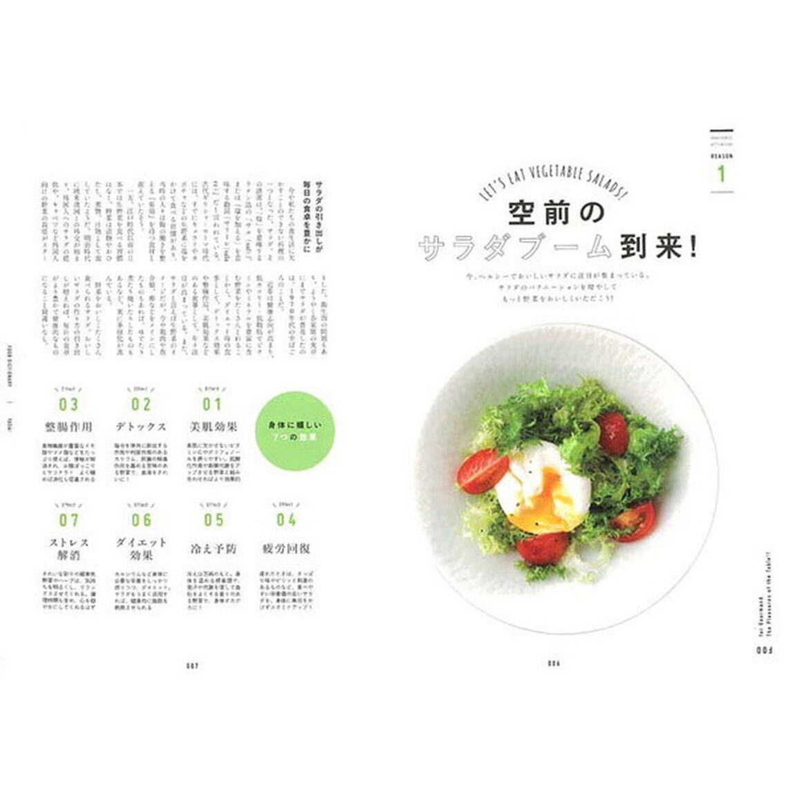 FOOD DICTIONARY 野菜