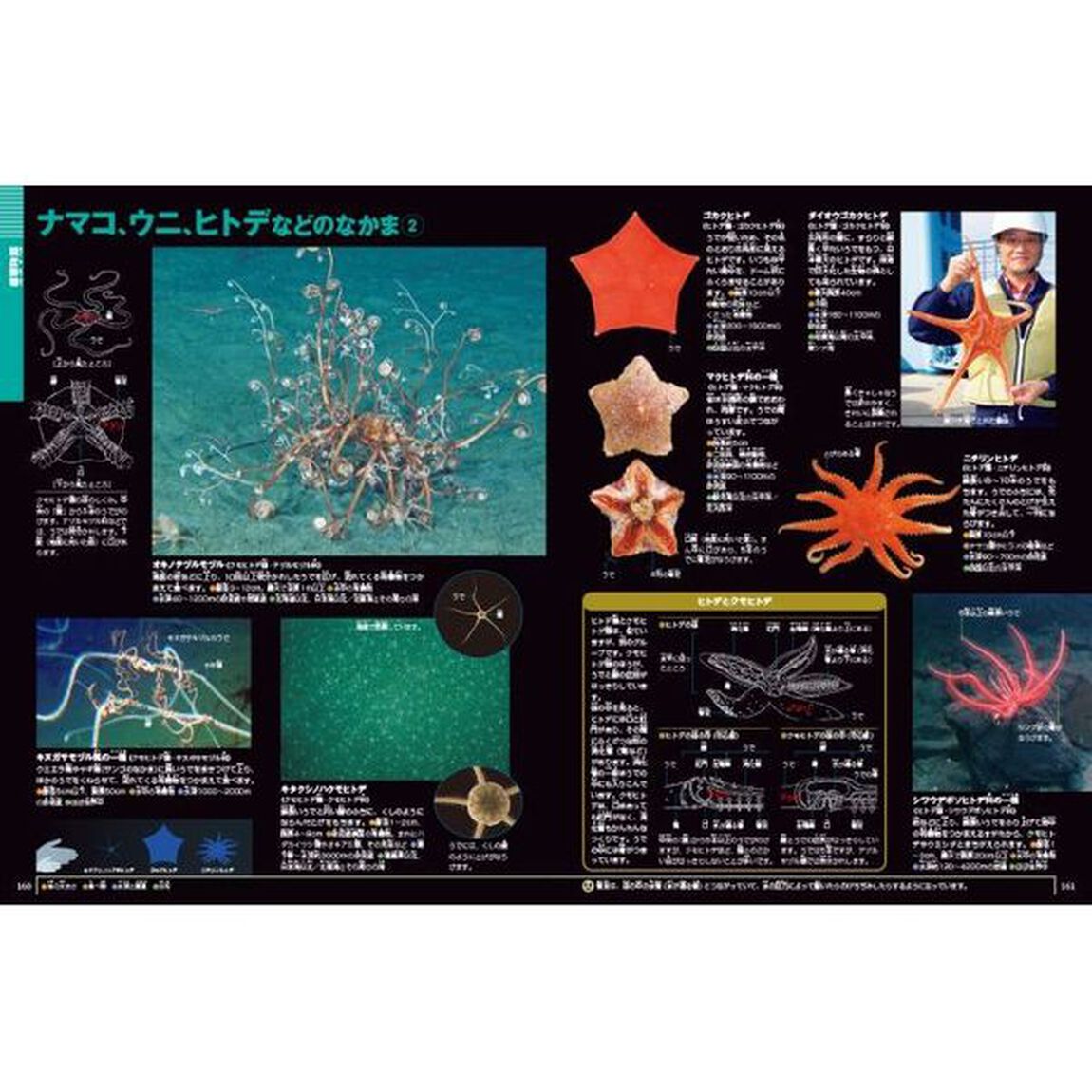 深海生物