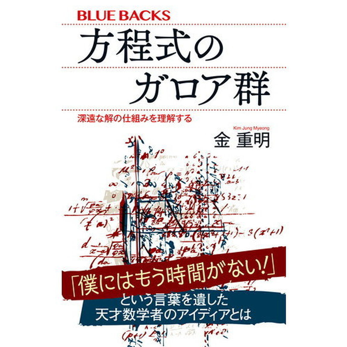 方程式のガロア群　深遠な解の仕組みを理解する